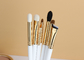 Χειροτεχνική εξάρτηση βουρτσών στούντιο 16pcs Makeup Vonira με τις χρυσές Ferrule χαλκού ξύλινες λαβές